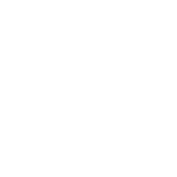 CAVLII wireless logo